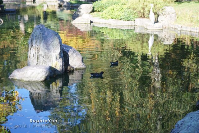 Kyoto Garden