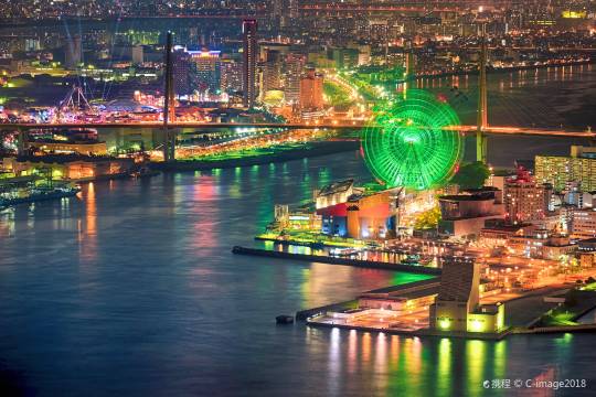Japan Osaka Castle + Osaka Aquarium + Santa Maria Sailing Cruise + Tempozan Ferris Wheel One-day Tour
