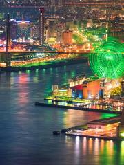 Tempozan Giant Ferris Wheel