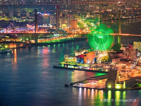 Tempozan Giant Ferris Wheel