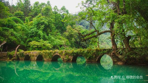 Libo Private Guided 1-Day Tour from Guiyang Libo Xiaoqikong Scenic Area Daqikong