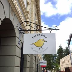 Paper Bird User Photo