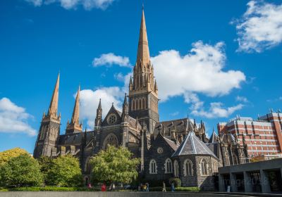 St Patricks Cathedral