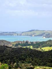 Coromandel Barge Fishing