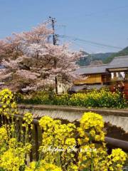 Lake Biwa Canal