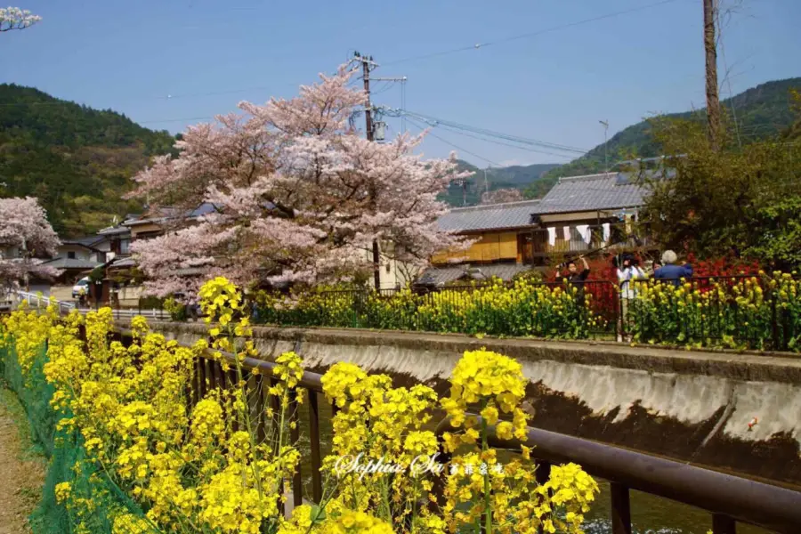 Lake Biwa Canal