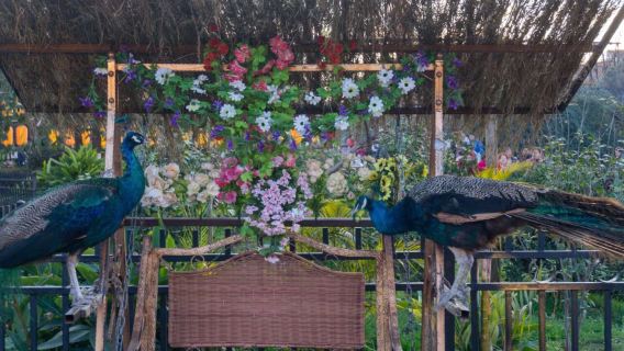 Visite privée d'une demi-journée de la vieille ville de Kunming Guandu