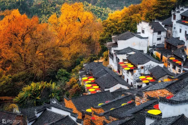Wuyuan Autumn Sun-drying Harvest