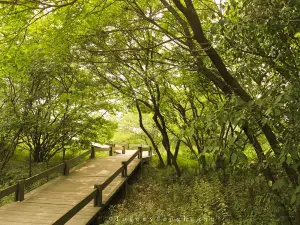 International Tourist Islands Tangshan Bay