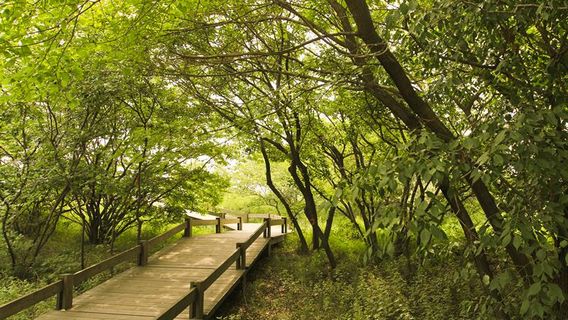 Таншаньский остров международного туризма