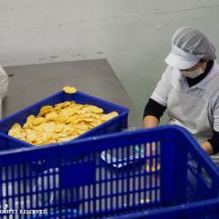Agrioz User Photo