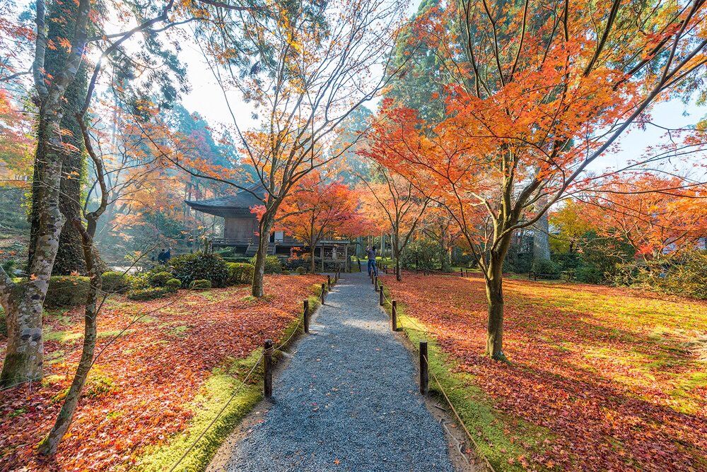 Ohara/Kibune/Kurama