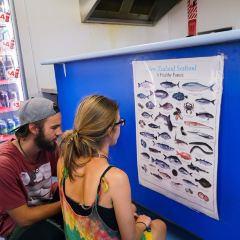 Cods and Crayfish張用戶圖片