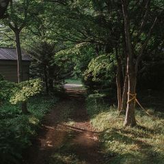 Sonminshokudo User Photo
