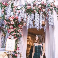 Peggy Porschen Belgravia張用戶圖片