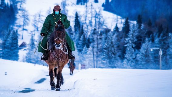 Horse Riding in Burqin