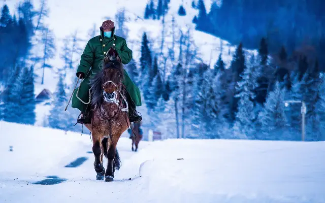 Horse Riding in Burqin
