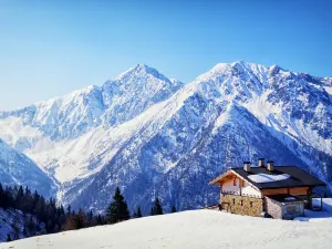 Alpi