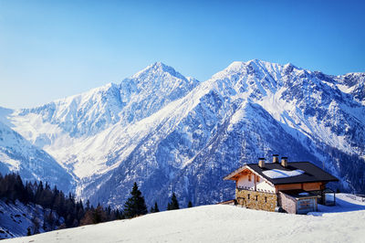Alps