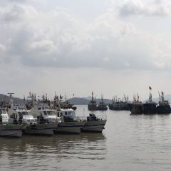 沈家门海鲜夜排档39-40号 User Photo