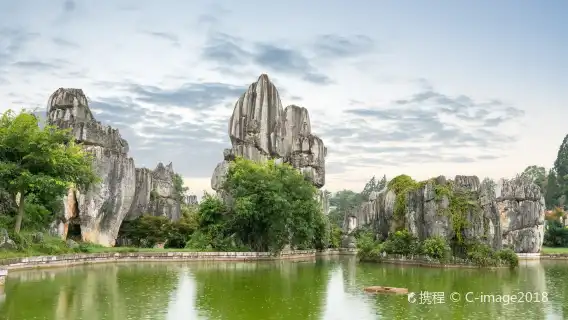 Kunming Stone Forest Scenic Area 1-day tour [Private group + English guide + Pure play + Includes round-trip transportation]
