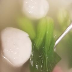 Kaiyuan Mingju User Photo