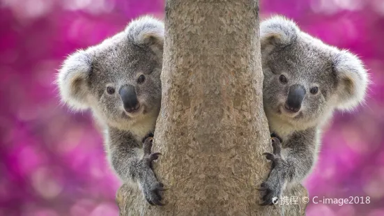 阿德萊德動物園