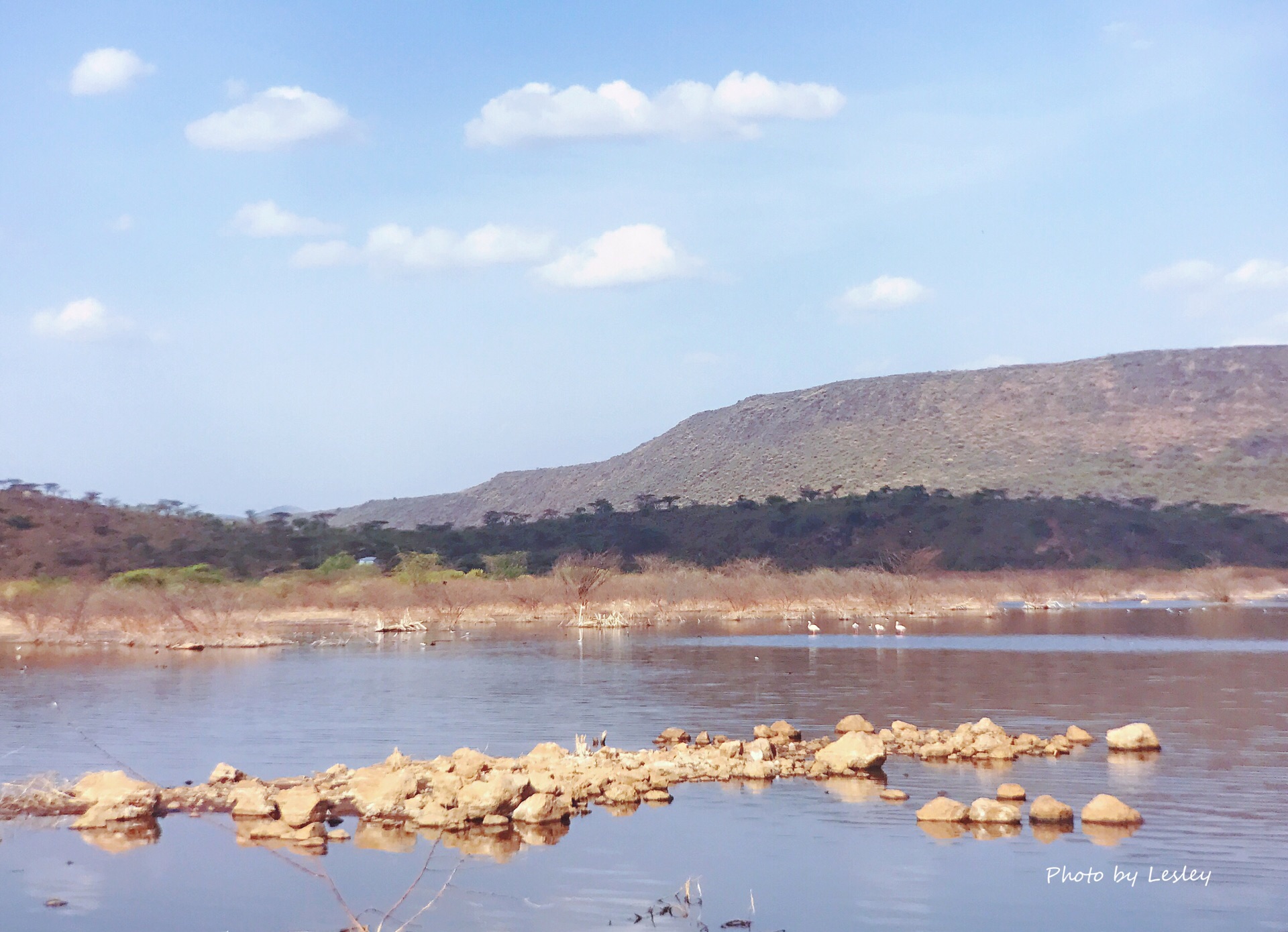 ナイロビ Lake Bogoria 評判 案内 トリップドットコム ナイロビ Lake Bogoria 評判 案内 トリップドットコム