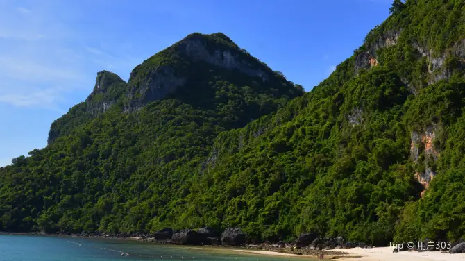 2_เกาะยุง