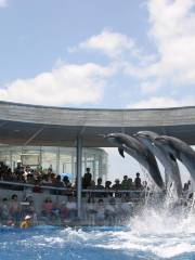 大分海洋宮殿水族館 海之卵