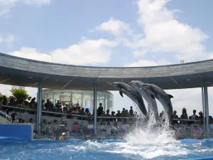 大分マリーンパレス水族館「うみたまご」