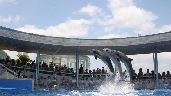 Oita Marine Palace Aquarium "Umitamago"