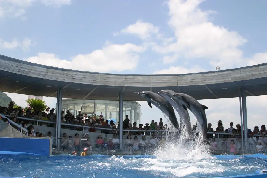 大分海洋宮殿水族館 海之卵