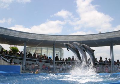 大分海之卵水族館