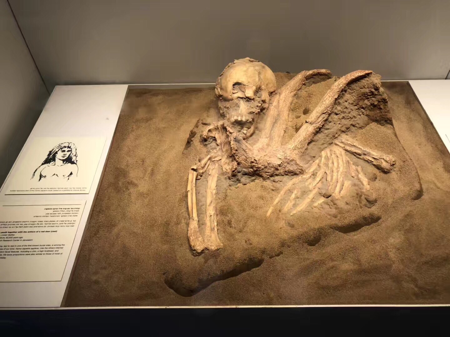 エルサレム イスラエル博物館 評判 案内 トリップドットコム