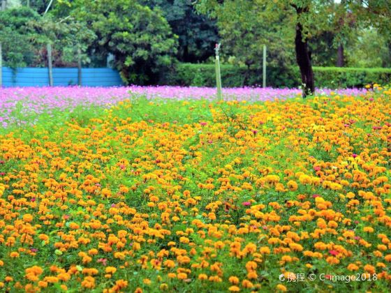 Luonan Ecological Park