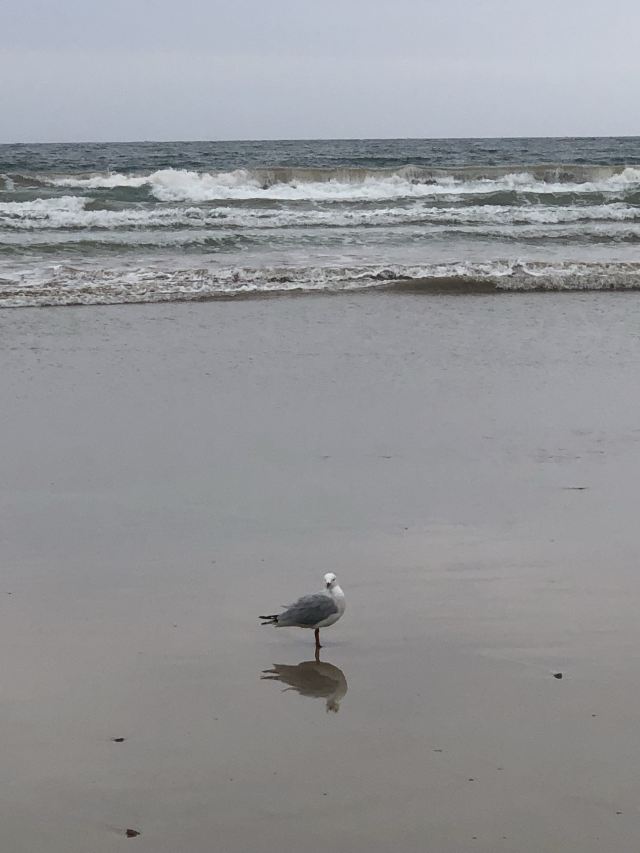 Anglesea