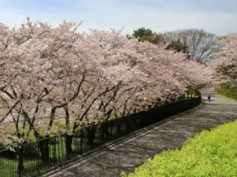 Expo ’70 Commemorative Park