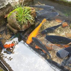 灶香土菜(神仙居店) ảnh của người dùng