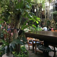 NAP Gastro Bar User Photo