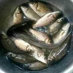 红水河第一湾农家乐 User Photo