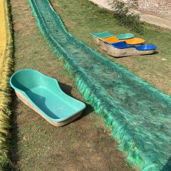 Chongqinghengdajiudian· Western Restaurant User Photo