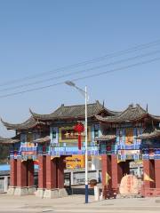 Tianci Snake Expo Park