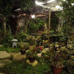 Yun Qin User Photo