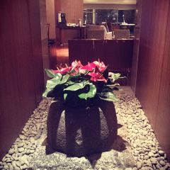 上海外滩东方美仑美奂酒店·MHaus美庐餐厅 User Photo