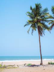 Agonda Beach