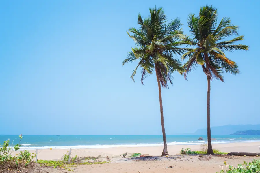 Agonda Beach