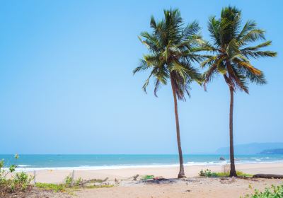 Agonda Beach