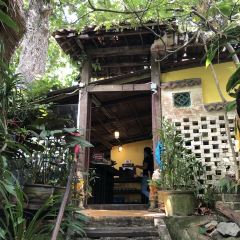 Tree Monkey ảnh của người dùng