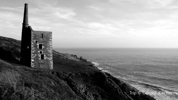Porthcew (Rinsey Cove)